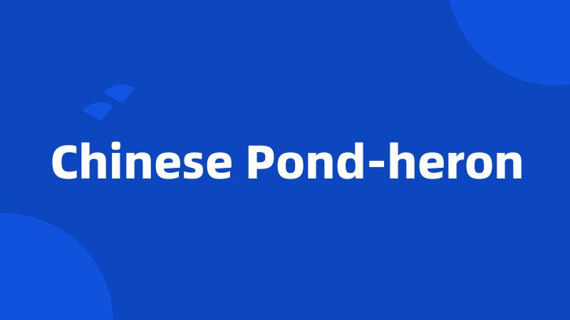 Chinese Pond-heron