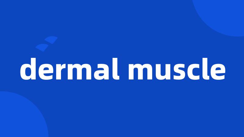 dermal muscle