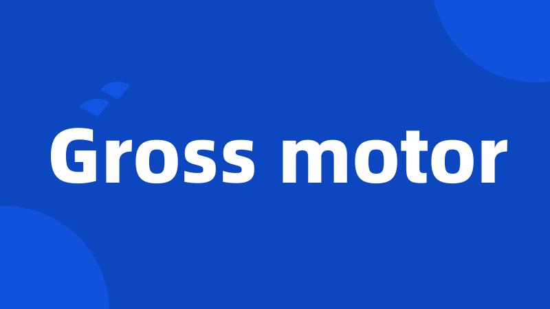 Gross motor
