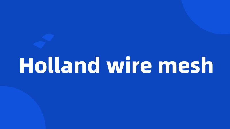 Holland wire mesh