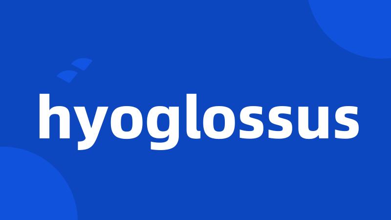 hyoglossus