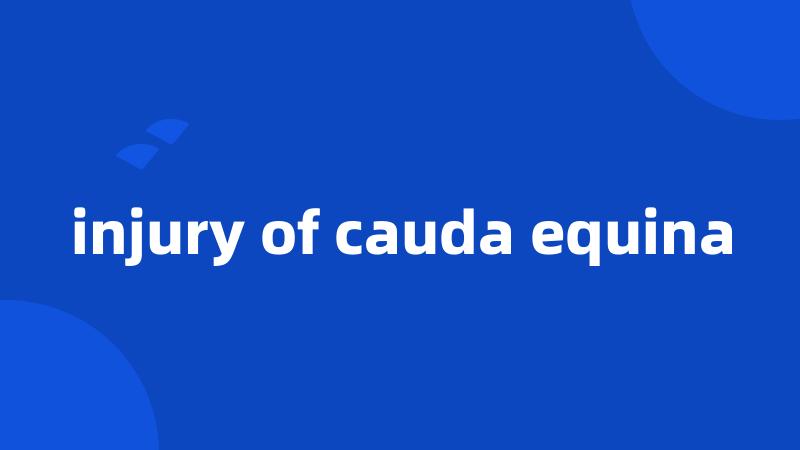 injury of cauda equina