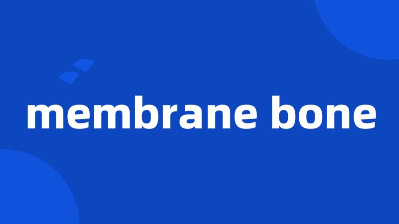 membrane bone