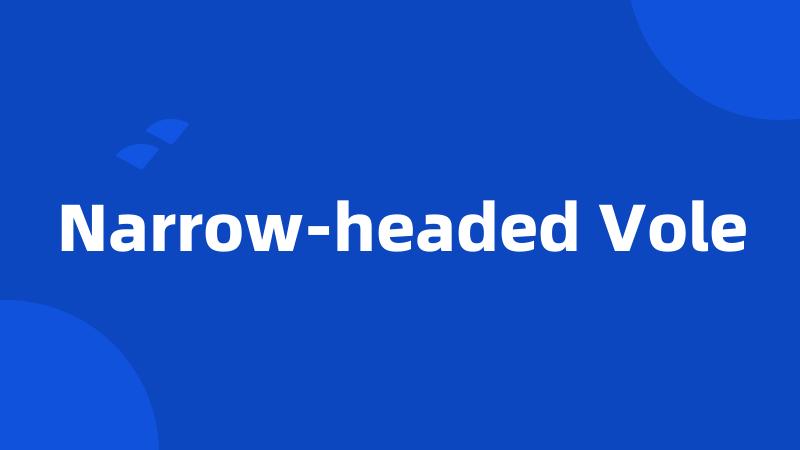 Narrow-headed Vole