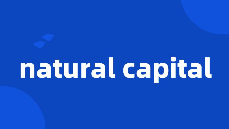 natural capital