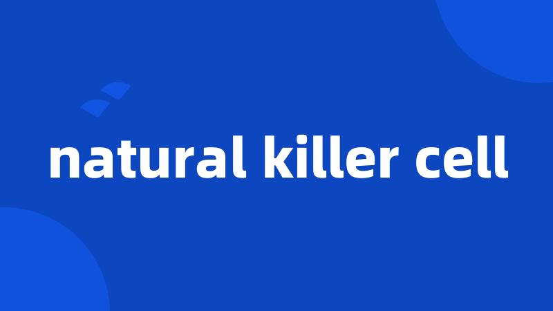 natural killer cell