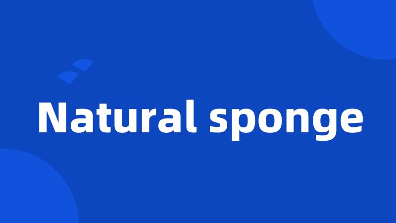 Natural sponge
