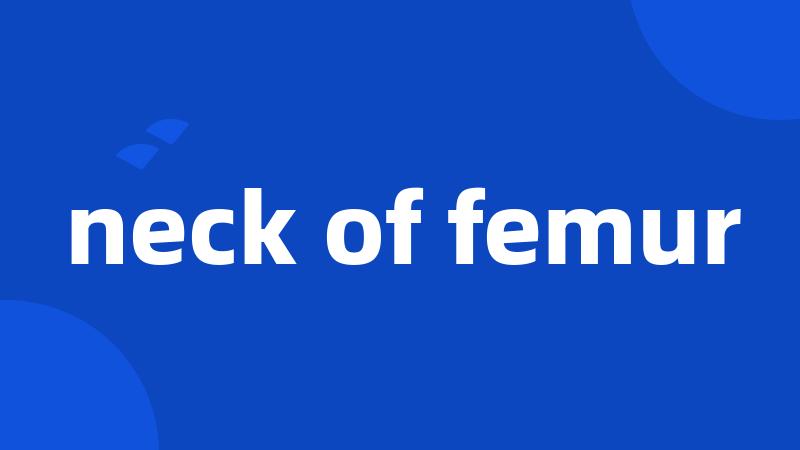 neck of femur