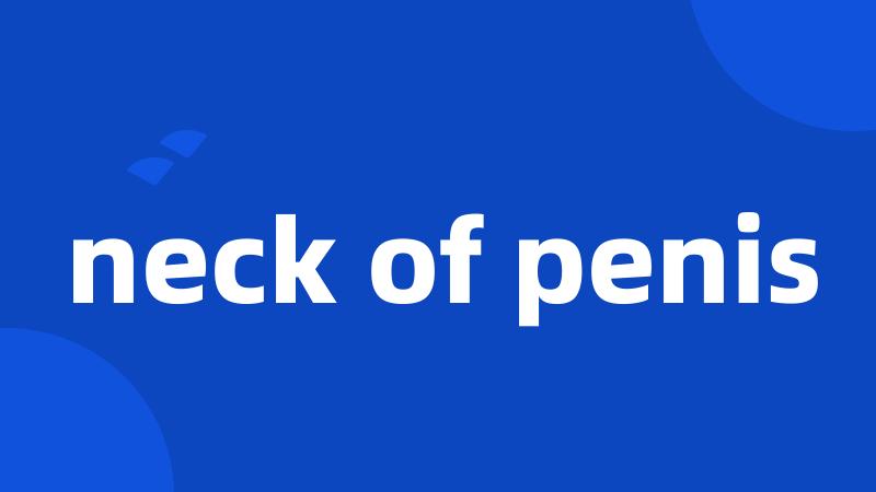 neck of penis