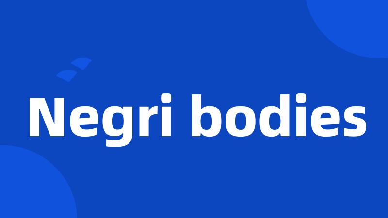 Negri bodies