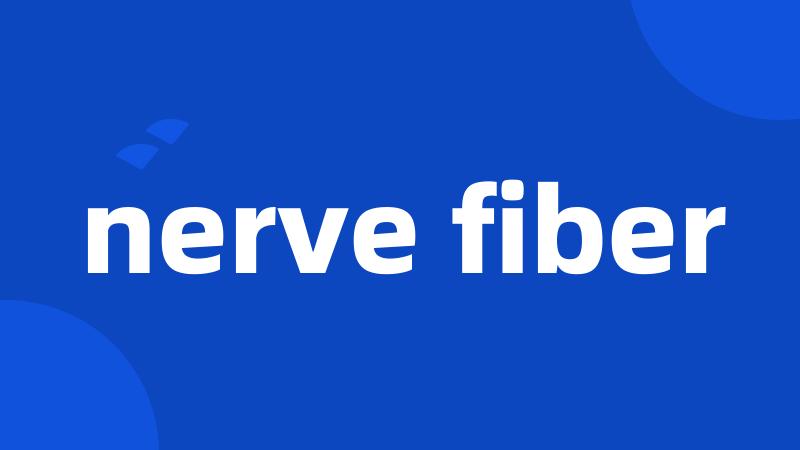 nerve fiber