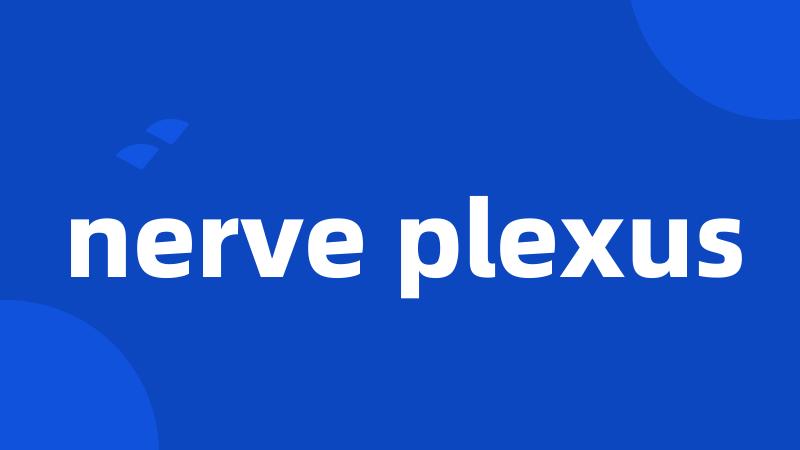 nerve plexus