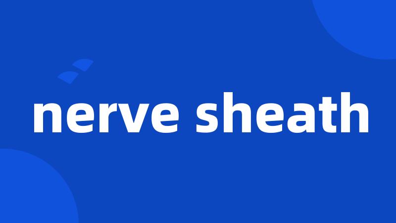 nerve sheath