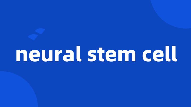 neural stem cell