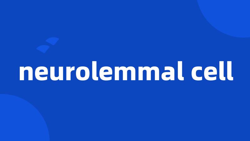 neurolemmal cell