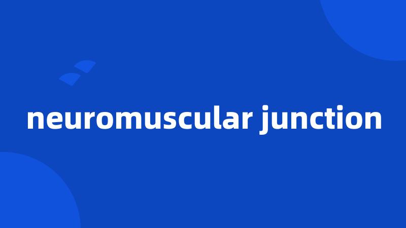 neuromuscular junction
