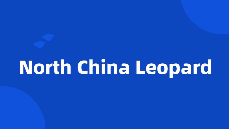 North China Leopard