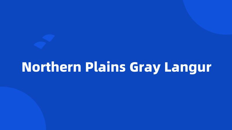 Northern Plains Gray Langur