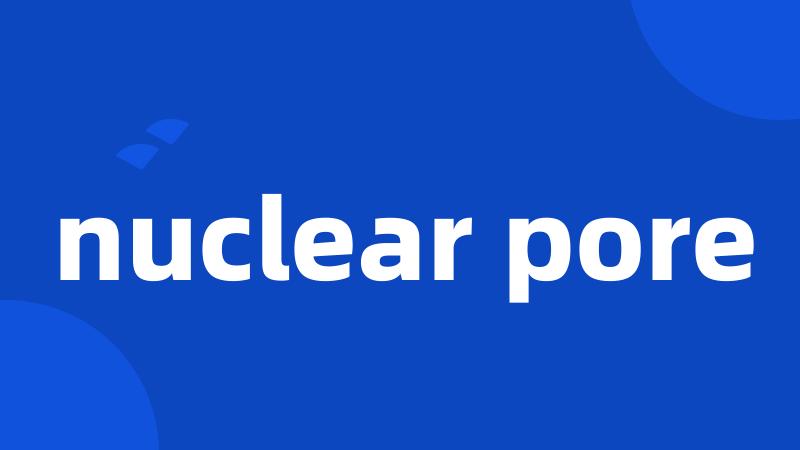 nuclear pore