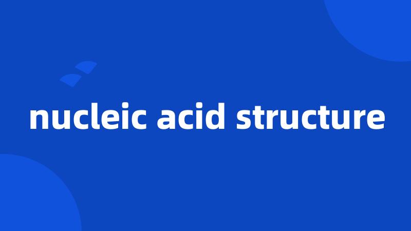 nucleic acid structure