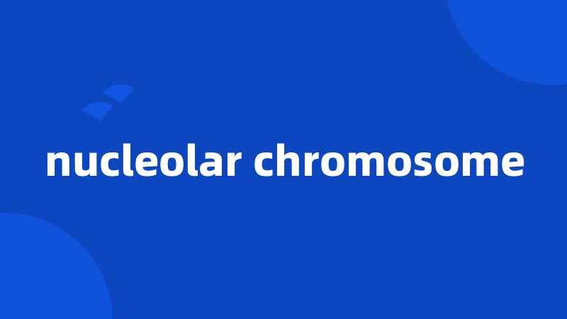 nucleolar chromosome