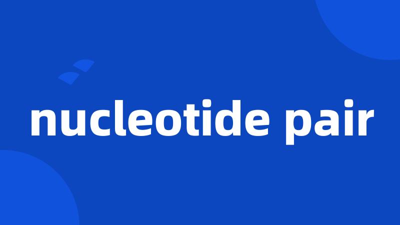 nucleotide pair