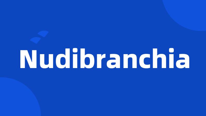 Nudibranchia