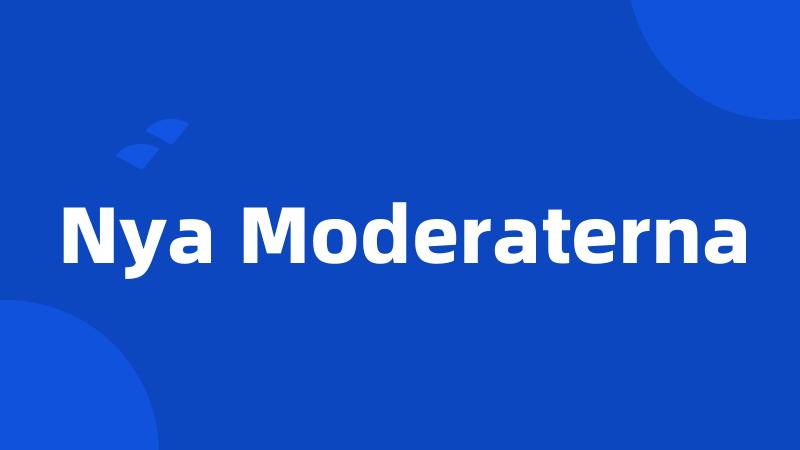 Nya Moderaterna