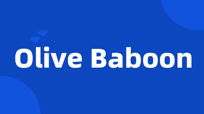 Olive Baboon