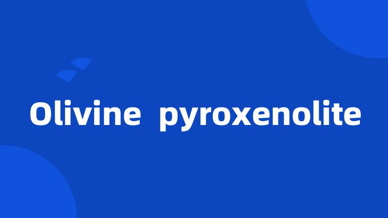 Olivine  pyroxenolite