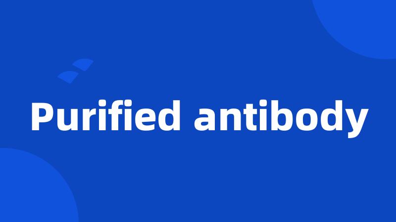 Purified antibody