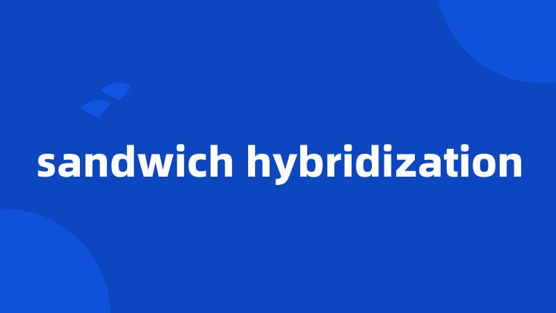 sandwich hybridization