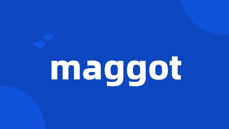 maggot