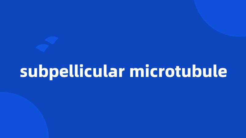 subpellicular microtubule