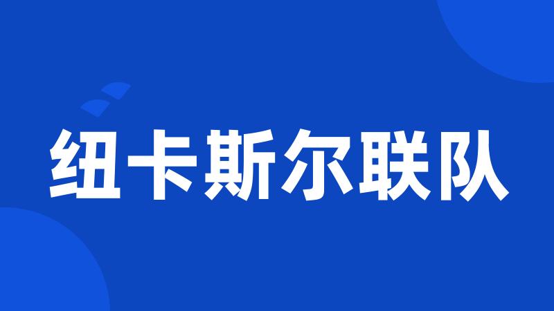 纽卡斯尔联队