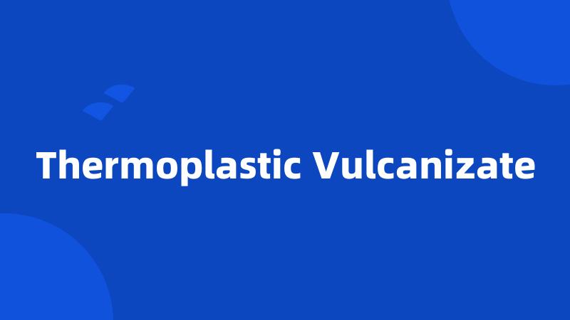 Thermoplastic Vulcanizate