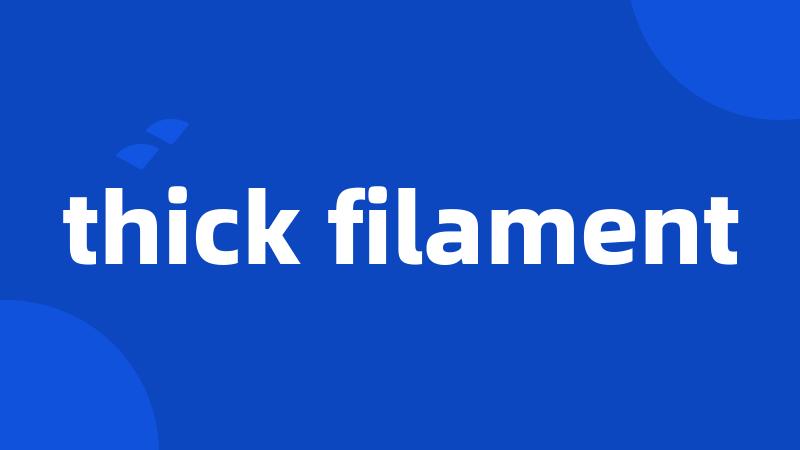 thick filament