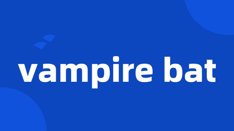 vampire bat