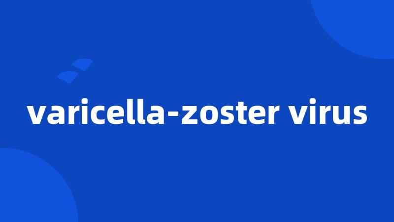 varicella-zoster virus