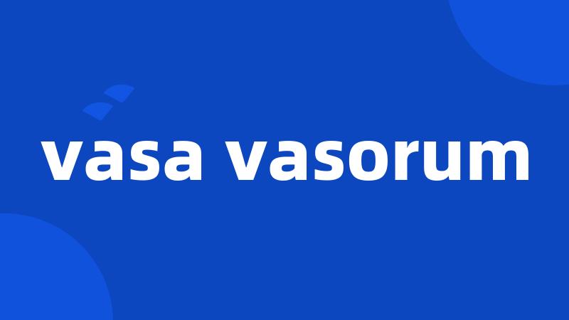 vasa vasorum