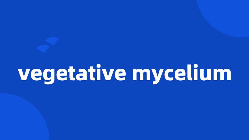vegetative mycelium