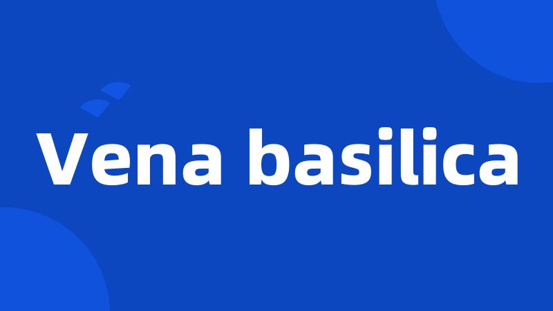 Vena basilica