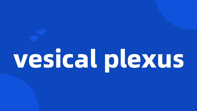 vesical plexus