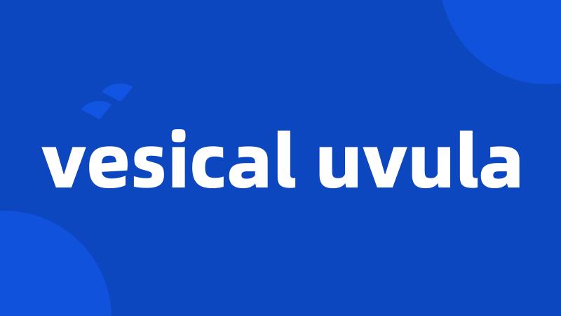 vesical uvula