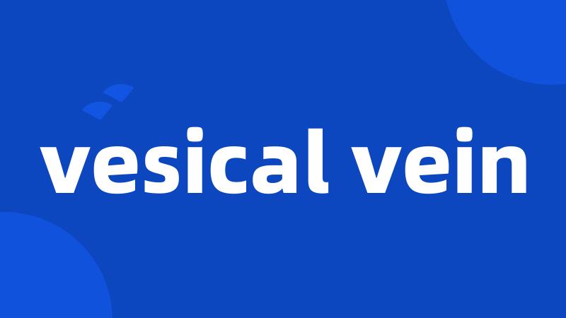 vesical vein