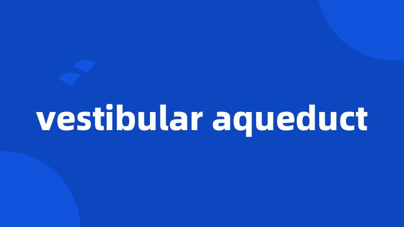 vestibular aqueduct