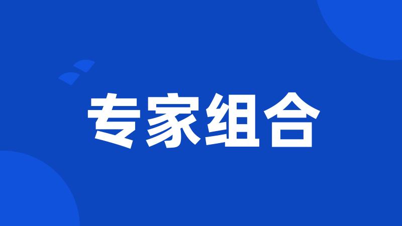 专家组合
