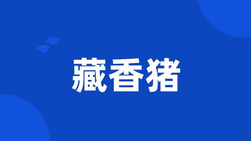 藏香猪