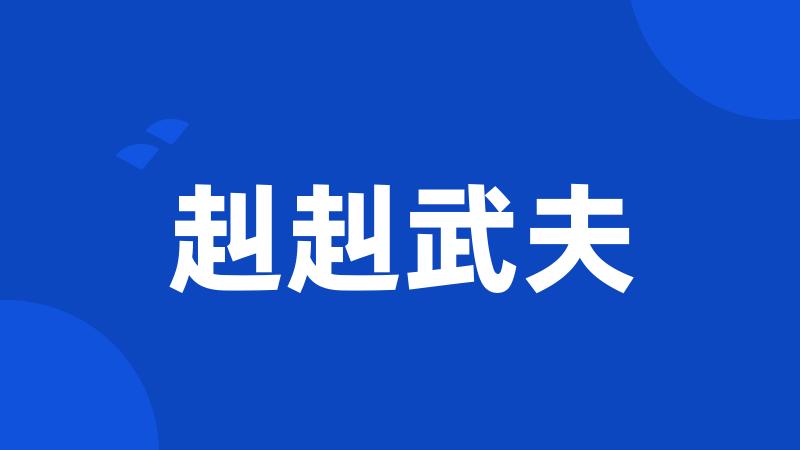 赳赳武夫