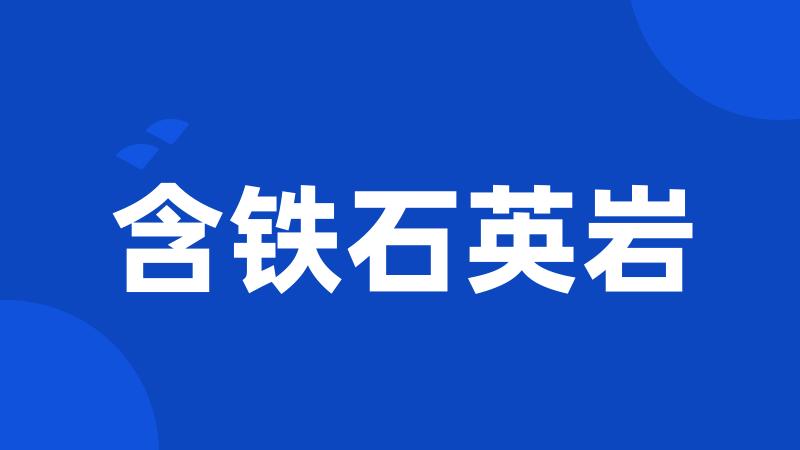 含铁石英岩
